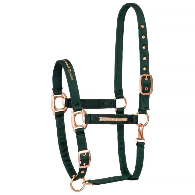 EQUESTRIAN