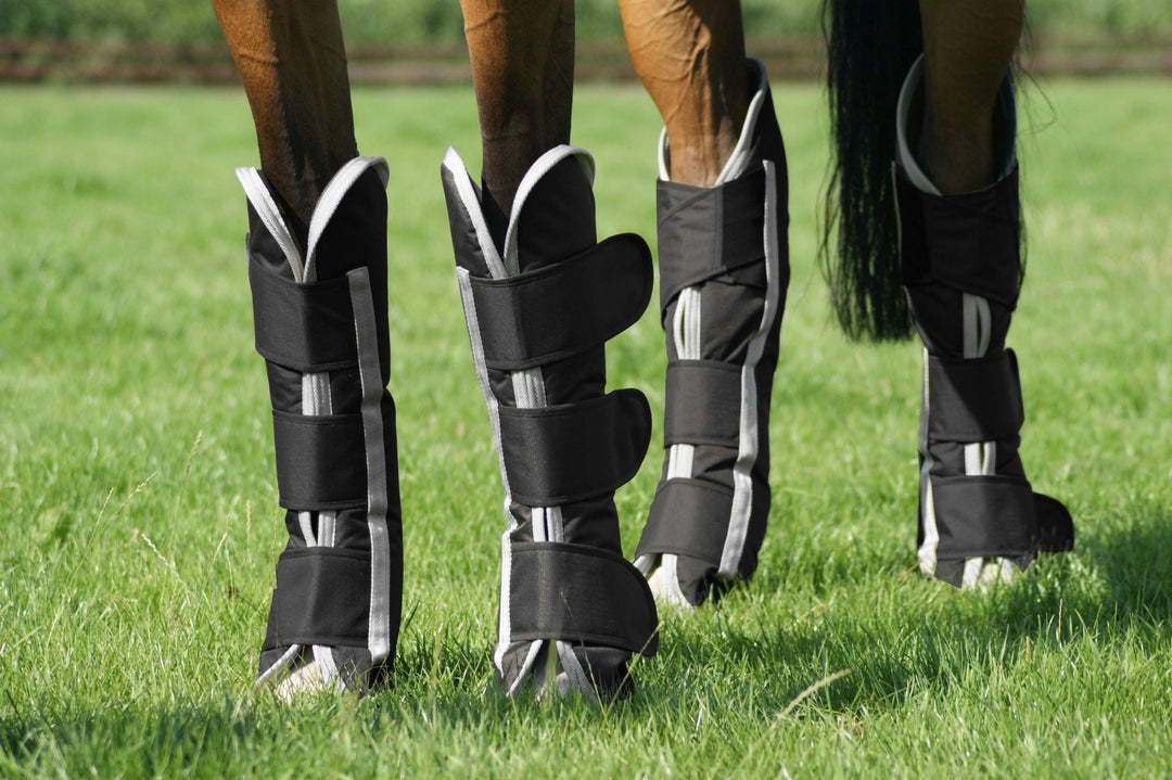 Horse float boots best sale